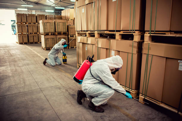 Best Bed Bug Extermination  in Benton, AR