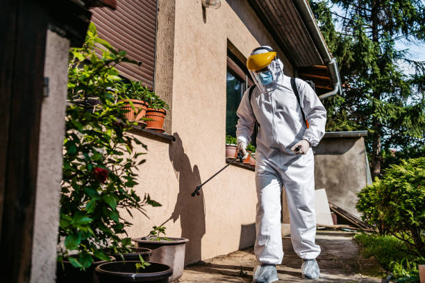 Best Spider Control Near Me  in Benton, AR