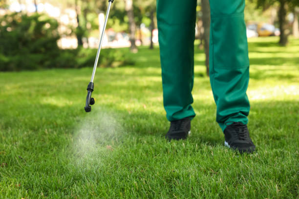 Best Mosquito Control Services  in Benton, AR