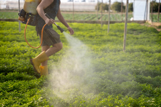 Best Emergency Pest Control  in Benton, AR