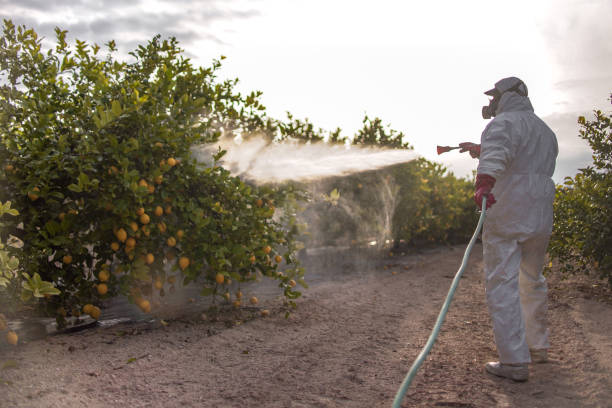 Pest Control Cost in Benton, AR
