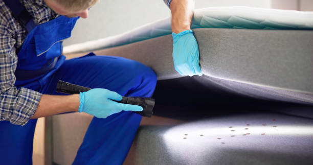 Best Ant Control Services  in Benton, AR