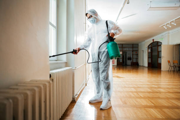 Best Pest Control Near Me in Benton, AR