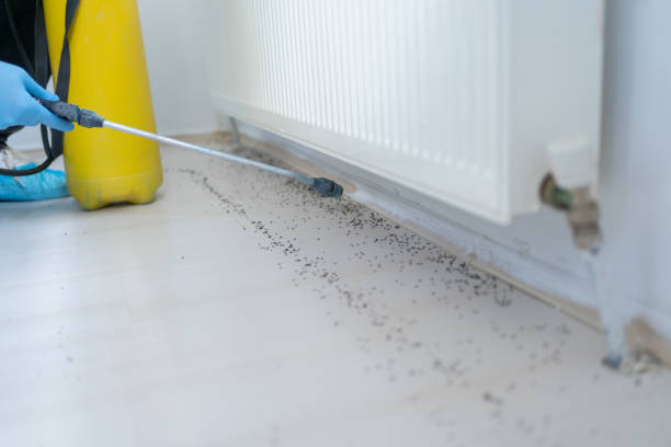 Best Best Pest Control Companies  in Benton, AR