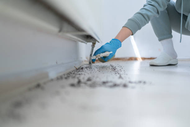 Best Affordable Pest Control Services  in Benton, AR